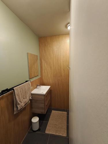 a small bathroom with a sink and a mirror at De kleine Bossenare in Maarkedal