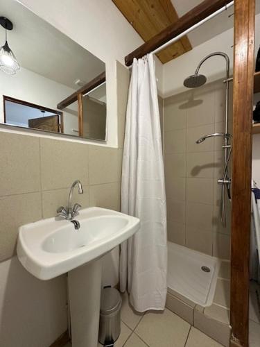 a bathroom with a sink and a shower at L'Appartement Assas in Le Creusot