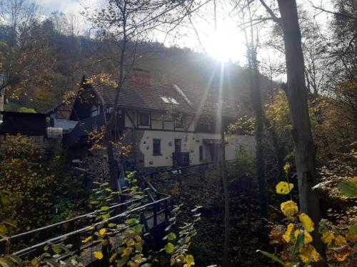 Dom Przytulisko