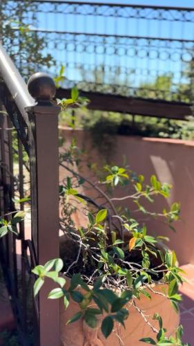 a fence with a potted plant on it at Epavlis Meteora Suites Hotel in Kalabaka