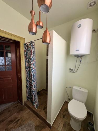 a bathroom with a toilet and some lights at Logie By Dedes in Birchiş