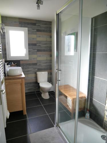 a bathroom with a shower and a toilet and a sink at Small mountain paradise with pool and hot tub in Marthod