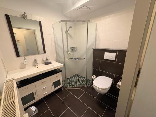 ein Badezimmer mit Dusche, Toilette und Waschbecken in der Unterkunft Waldzeit Braunlage - WLAN - Parkplatz - Terrasse - ebenerdig in Braunlage