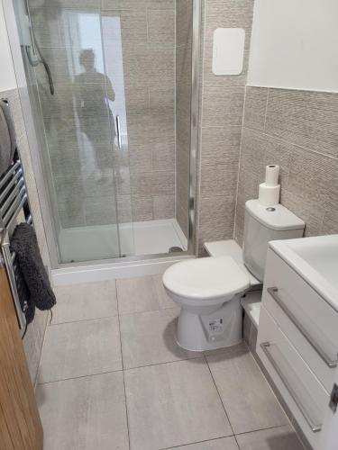 a bathroom with a toilet and a shower at Seaview Charm Herne Bay in Herne Bay