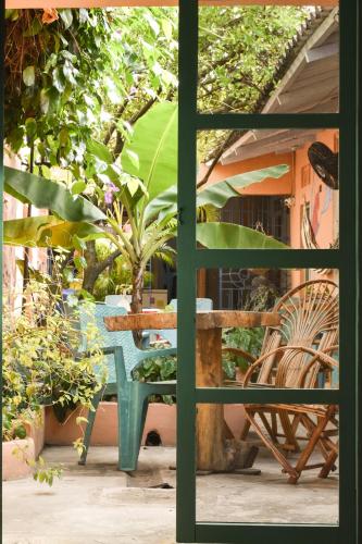 Hostel Pueblito Magico Mompósにある庭