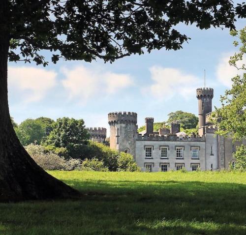 an old castle with two towers on top of a field at Castle Wing Barmeath Estate in Dunleer