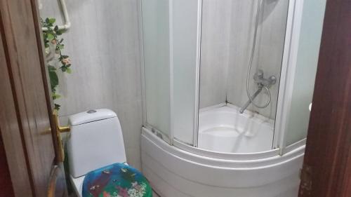 a small bathroom with a toilet and a shower at Anis 1 in Khujand