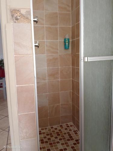 a shower stall with a cat sitting on top of it at Sombedu Guest Suite - Sea View Apartment in Margate in Margate