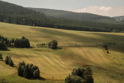 Příroda nedaleko apartmánu