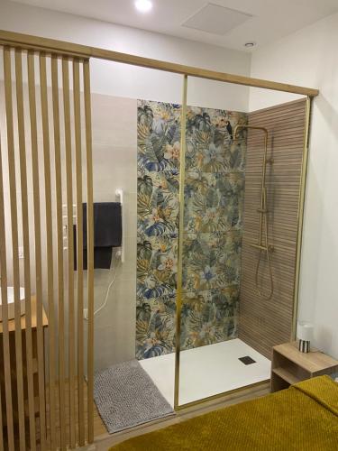 a shower with a glass door in a room at Lou Occitan- Appartement cosy centre Béziers in Béziers