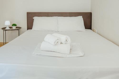 Stylish Flat Downtown