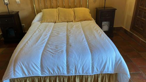 a blue bed with two pillows on top of it at La Tarja I y II in Martín Miguel