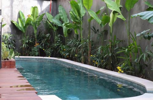 Hồ bơi trong/gần 1-Bedroom Villa, high Speed wifi, pool and garden,