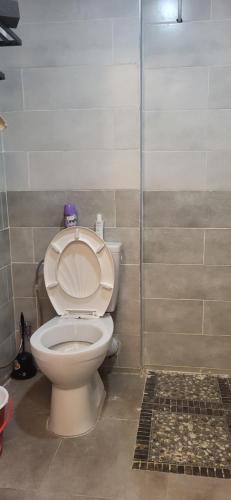 a bathroom with a toilet and a shower stall at Bel oranger in Bejaïa