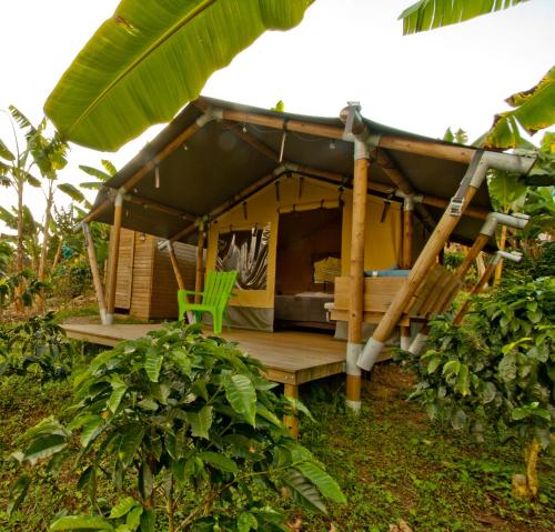 Glamping Jardínにある庭