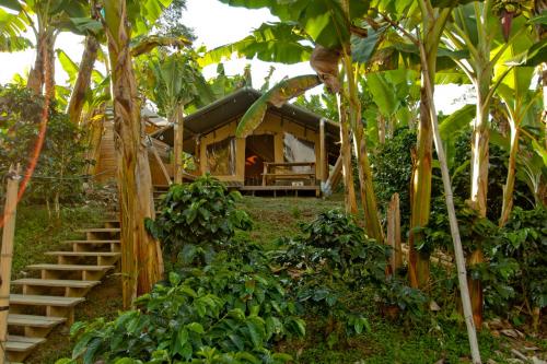 Glamping Jardínにある庭