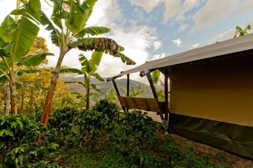 Glamping Jardínにある庭
