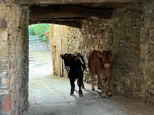Gambar di galeri bagi Luna di Quarazzana special place to stay Tuscany di Fivizzano