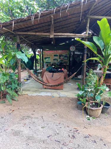 Zahrada ubytování Khai jungle wassanacamp