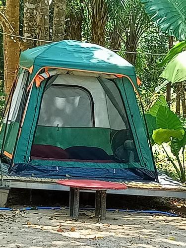 Fotografie z fotogalerie ubytování Khai jungle wassanacamp v destinaci Ban Thung Lang Tham