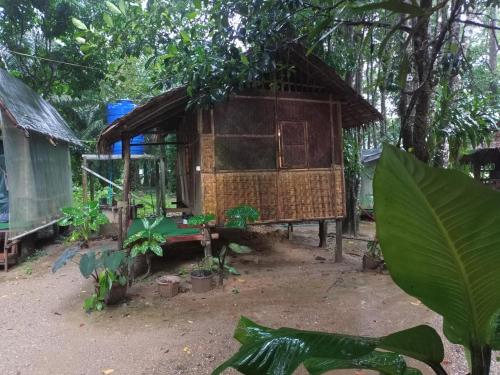 Zahrada ubytování Khai jungle wassanacamp