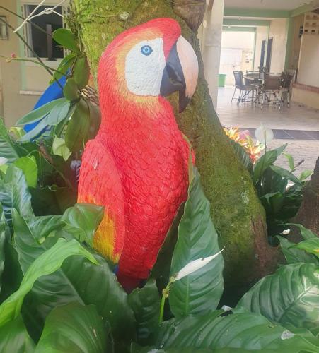 a colorful parrot sitting on top of a tree at Dream House in Ananindeua