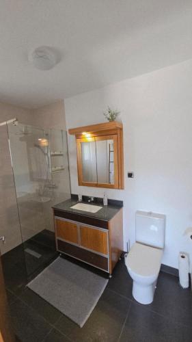 a bathroom with a toilet and a sink and a shower at Top Floor in Flor do Campo - Santana in Santana