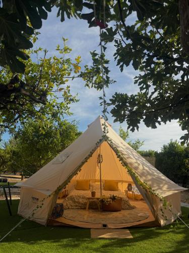 a tent with a bed in it in the grass at Glamping de Huerta La Arboleja in Murcia