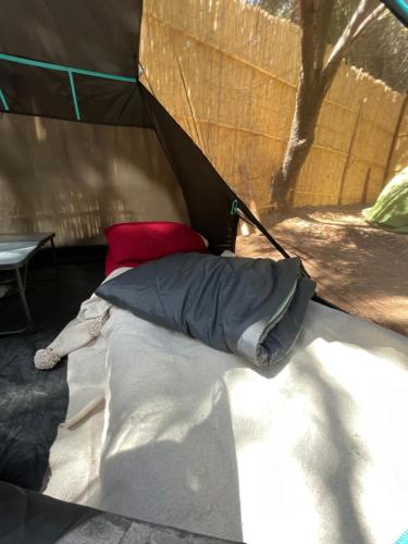 a bed in a tent with a pillow in it at Afra Camp -- Paradise Valley in Agadir
