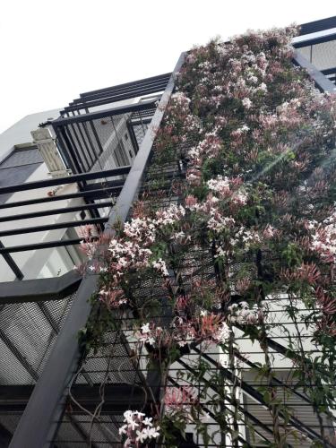 a plant on the side of a building with flowers at COMPLEJO CRUZ in Alta Gracia