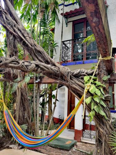 a hammock tied to a tree in front of a house at Eco-hotel El Rey del Caribe in Cancún