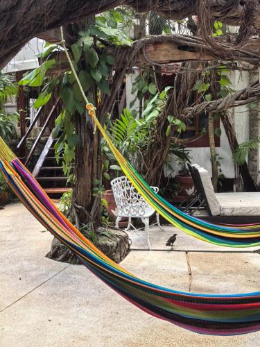 a hammock in front of a tree with a chair at Eco-hotel El Rey del Caribe in Cancún