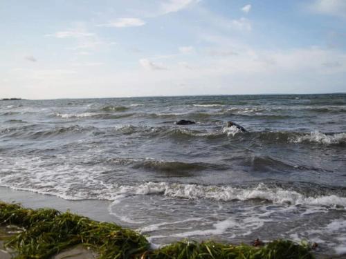 a body of water with waves in the ocean at Charming Harbor Cottage-By Traum in Jægerspris
