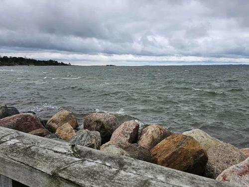 a group of rocks on the shore of a body of water at Charming Harbor Cottage-By Traum in Jægerspris