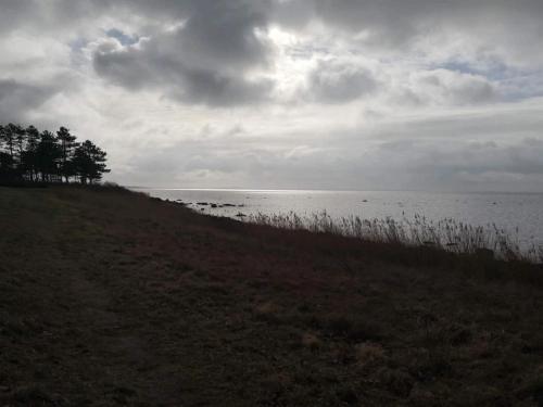 a field with a view of a body of water at 6 person holiday home in Jægerspris in Jægerspris