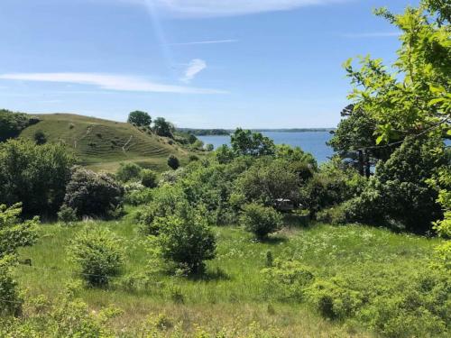 a view of the water from a hill with grass and trees at 7 person holiday home in Kirke Hyllinge-By Traum in Kirke-Hyllinge