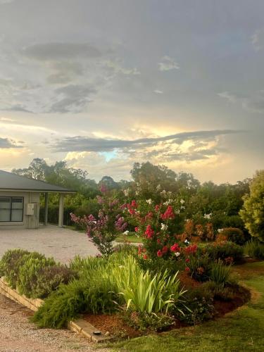 Mudgee Guesthouseにある庭