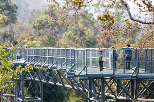 a group of people walking across a bridge at เต็นท์ดูดาว1 แอร์ ม่อนแจ่ม วิวดอยหลวงเชียงดาว in Mon Jam
