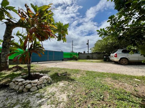 a tree in a pile of rocks next to a car at Nanihi Villa - Little Paradise in HUH