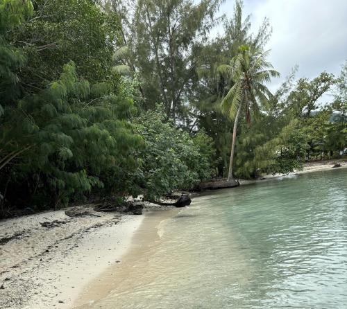 a beach with trees and water and a sandy shore at Nanihi Villa - Little Paradise in HUH