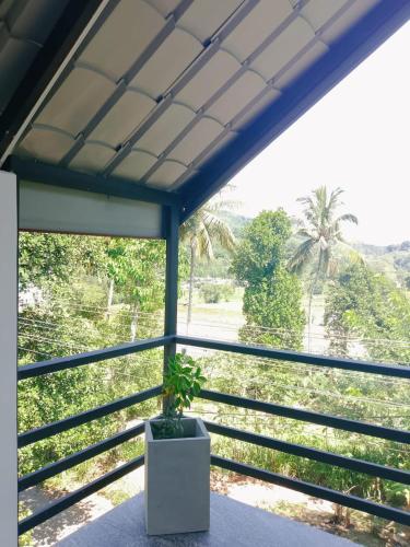 a potted plant sitting on a table in front of a window at Mountain Breeze Villa in Ella