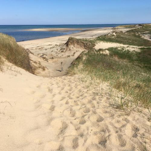 a sandy beach with footprints in the sand and the ocean at The Platinum Pebble Boutique Inn - Adults Only Property in Harwich Port