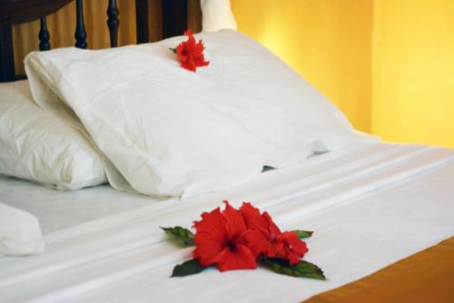 Coral Reef Resort – Photos 2