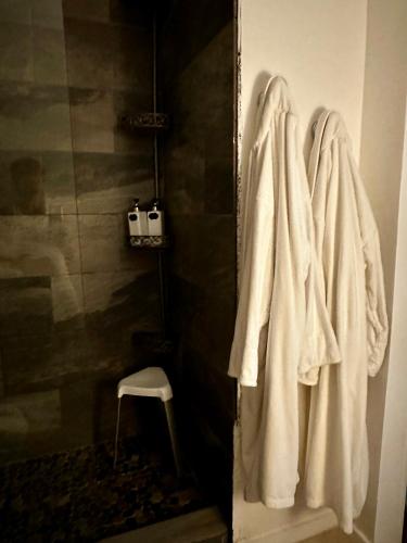 a bathroom with a shower with white towels and a stool at Flora's Garden Apartment/Studio in North Miami