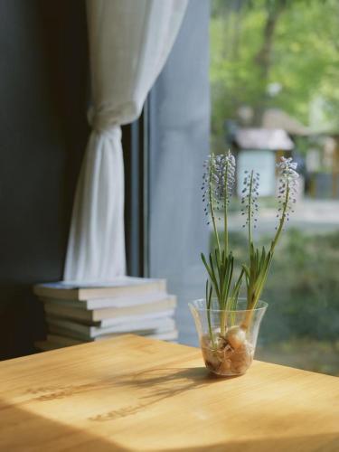 Fotografie z fotogalerie ubytování Blooming Lotus Hostel v destinaci Chang-čou