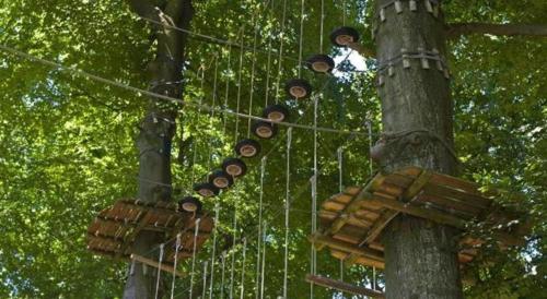 a group of traffic lights attached to a tree at Mango Valley Hotel in Olongapo