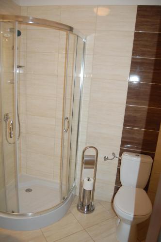 a bathroom with a shower and a white toilet at Przystanek Czapla in Czaplinek