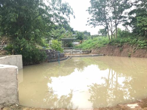 Landskap semula jadi dekat dengan rumah tamu ini
