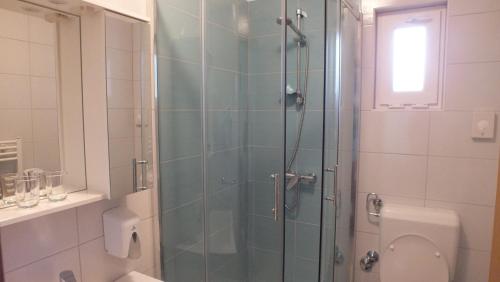 a bathroom with a glass shower with a toilet at Guest house Ema in Grabovac