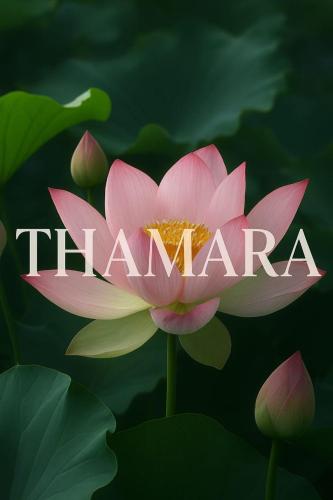 a pink water lily with the word tamar in front of it at Little Chandhana Guest House in Kottayam